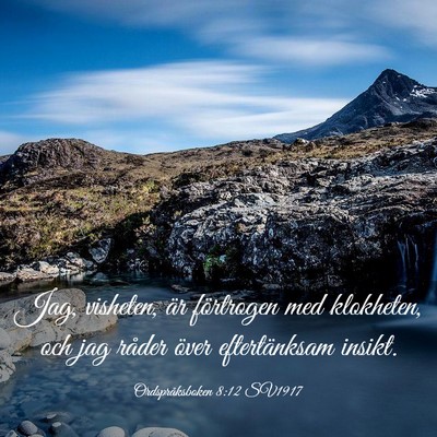 Picture 03 - Ordspråksboken 8:12 SV1917 - Jag, visheten, är förtrogen med klokheten, och - Bible Verse Picture