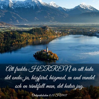 Picture 03 - Ordspråksboken 8:13 SV1917 - Att frukta HERREN är att hata det onda; ja, - Bible Verse Picture