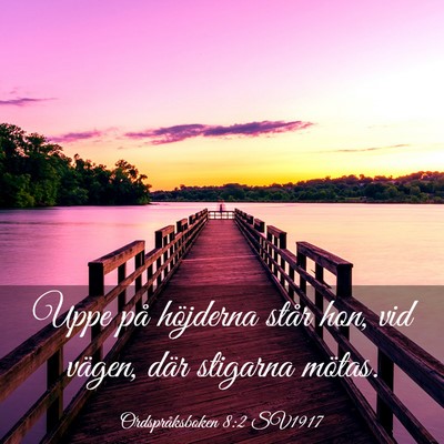 Picture 03 - Ordspråksboken 8:2 SV1917 - Uppe på höjderna står hon, vid vägen, där - Bible Verse Picture