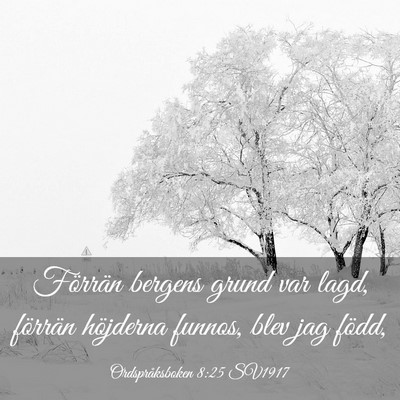 Picture 03 - Ordspråksboken 8:25 SV1917 - Förrän bergens grund var lagd, förrän - Bible Verse Picture