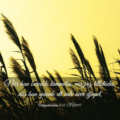 Picture 03 - Ordspråksboken 8:27 SV1917 - När han beredde himmelen, var jag tillstädes, - Bible Verse Picture