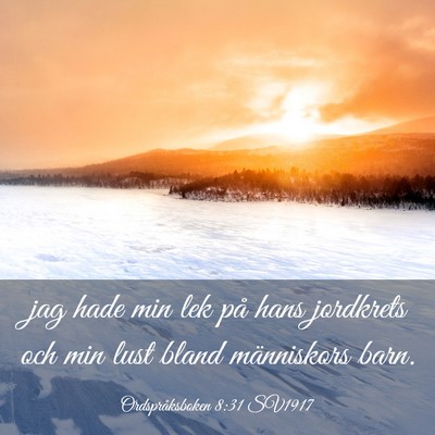 Picture 03 - Ordspråksboken 8:31 SV1917 - jag hade min lek på hans jordkrets och min lust - Bible Verse Picture