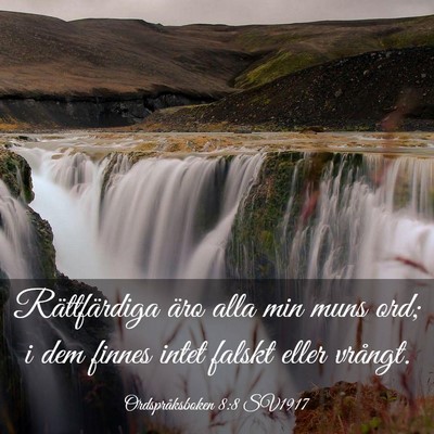 Picture 03 - Ordspråksboken 8:8 SV1917 - Rättfärdiga äro alla min muns ord; i dem - Bible Verse Picture