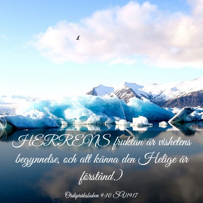 Picture 03 - Ordspråksboken 9:10 SV1917 - HERRENS fruktan är vishetens begynnelse, och att - Bible Verse Picture