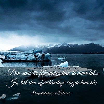 Picture 03 - Ordspråksboken 9:4 SV1917 - »Den som är fåkunnig, han komme hit.» Ja, - Bible Verse Picture