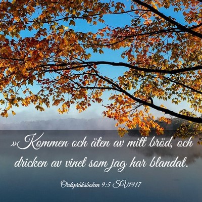Picture 03 - Ordspråksboken 9:5 SV1917 - »Kommen och äten av mitt bröd, och dricken av - Bible Verse Picture