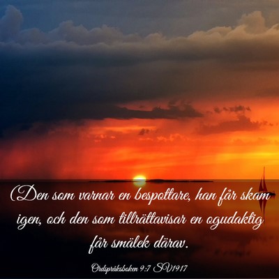 Picture 03 - Ordspråksboken 9:7 SV1917 - (Den som varnar en bespottare, han får skam - Bible Verse Picture