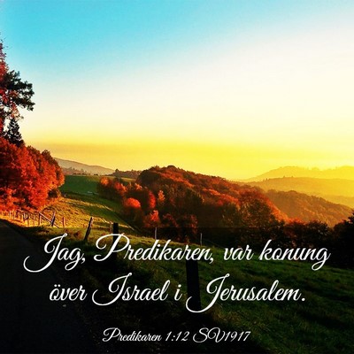 Picture 03 - Predikaren 1:12 SV1917 - Jag, Predikaren, var konung över Israel i - Bible Verse Picture