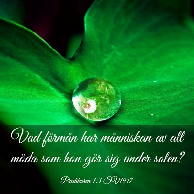 Picture 03 - Predikaren 1:3 SV1917 - Vad förmån har människan av all möda som hon - Bible Verse Picture