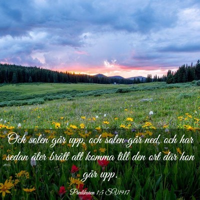 Picture 03 - Predikaren 1:5 SV1917 - Och solen går upp, och solen går ned, och har - Bible Verse Picture