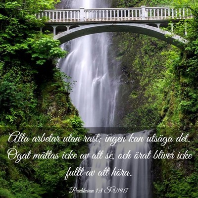 Picture 03 - Predikaren 1:8 SV1917 - Alla arbetar utan rast; ingen kan utsäga det. - Bible Verse Picture