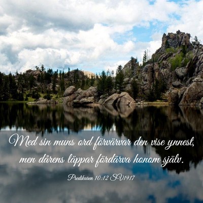Picture 03 - Predikaren 10:12 SV1917 - Med sin muns ord förvärvar den vise ynnest, men - Bible Verse Picture