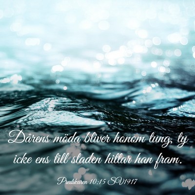 Picture 03 - Predikaren 10:15 SV1917 - Dårens möda bliver honom tung, ty icke ens till - Bible Verse Picture