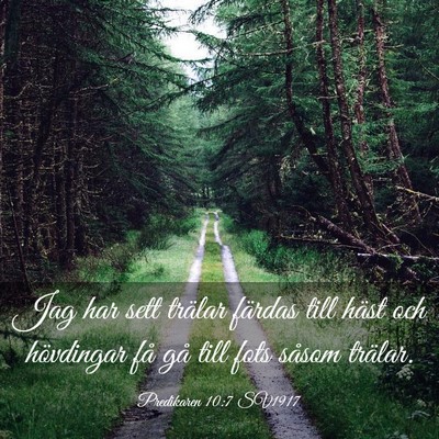 Picture 03 - Predikaren 10:7 SV1917 - Jag har sett trälar färdas till häst och - Bible Verse Picture