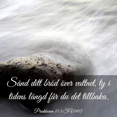 Picture 03 - Predikaren 11:1 SV1917 - Sänd ditt bröd över vattnet, ty i tidens - Bible Verse Picture