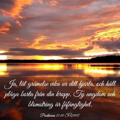 Picture 03 - Predikaren 11:10 SV1917 - Ja, låt grämelse vika ur ditt hjärta, och - Bible Verse Picture