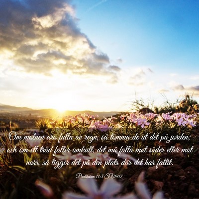 Picture 03 - Predikaren 11:3 SV1917 - Om molnen äro fulla av regn, så tömma de ut - Bible Verse Picture