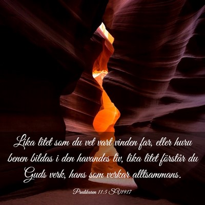 Picture 03 - Predikaren 11:5 SV1917 - Lika litet som du vet vart vinden far, eller huru - Bible Verse Picture