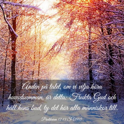 Picture 03 - Predikaren 12:13 SV1917 - Änden på talet, om vi vilja höra huvudsumman, - Bible Verse Picture