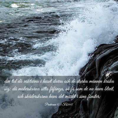 Picture 03 - Predikaren 12:3 SV1917 - den tid då väktarna i huset darra och de starka - Bible Verse Picture