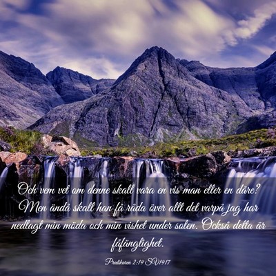Picture 03 - Predikaren 2:19 SV1917 - Och vem vet om denne skall vara en vis man eller - Bible Verse Picture