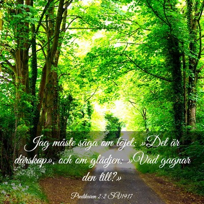 Picture 03 - Predikaren 2:2 SV1917 - Jag måste säga om löjet: »Det är dårskap», - Bible Verse Picture