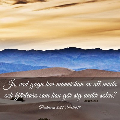 Picture 03 - Predikaren 2:22 SV1917 - Ja, vad gagn har människan av all möda och - Bible Verse Picture