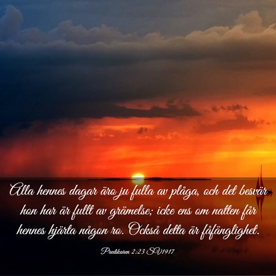 Picture 03 - Predikaren 2:23 SV1917 - Alla hennes dagar äro ju fulla av plåga, och - Bible Verse Picture