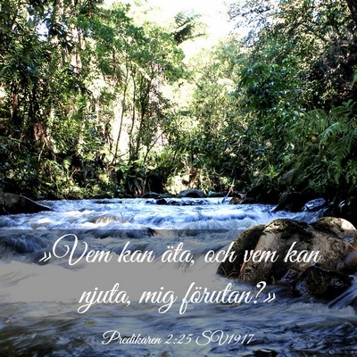 Picture 03 - Predikaren 2:25 SV1917 - »Vem kan äta, och vem kan njuta, mig - Bible Verse Picture