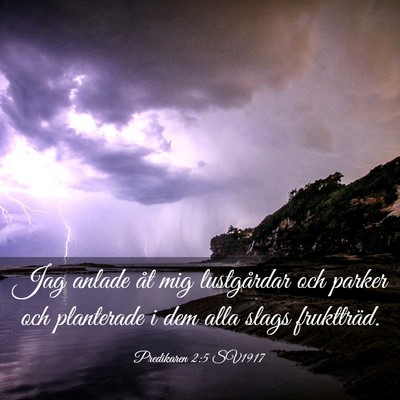 Picture 03 - Predikaren 2:5 SV1917 - Jag anlade åt mig lustgårdar och parker och - Bible Verse Picture