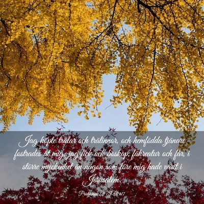 Picture 03 - Predikaren 2:7 SV1917 - Jag köpte trälar och trälinnor, och hemfödda - Bible Verse Picture