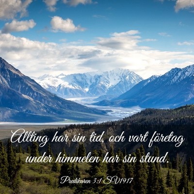 Picture 03 - Predikaren 3:1 SV1917 - Allting har sin tid, och vart företag under - Bible Verse Picture