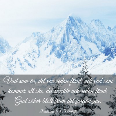 Picture 03 - Predikaren 3:15 SV1917 - Vad som är, det var redan förut, och vad som - Bible Verse Picture