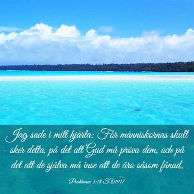 Picture 03 - Predikaren 3:18 SV1917 - Jag sade i mitt hjärta: För människornas skull - Bible Verse Picture