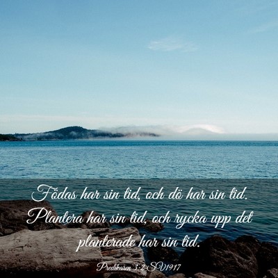 Picture 03 - Predikaren 3:2 SV1917 - Födas har sin tid, och dö har sin tid. Plantera - Bible Verse Picture