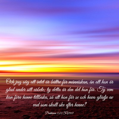 Picture 03 - Predikaren 3:22 SV1917 - Och jag såg att intet är bättre för - Bible Verse Picture