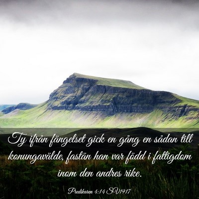 Picture 03 - Predikaren 4:14 SV1917 - Ty ifrån fängelset gick en gång en sådan till - Bible Verse Picture
