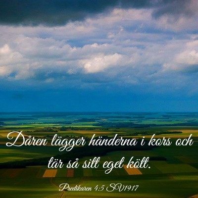 Picture 03 - Predikaren 4:5 SV1917 - Dåren lägger händerna i kors och tär så sitt - Bible Verse Picture