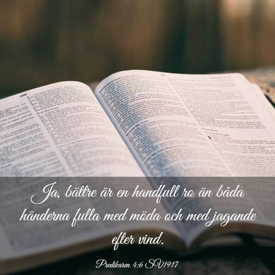 Picture 03 - Predikaren 4:6 SV1917 - Ja, bättre är en handfull ro än båda - Bible Verse Picture