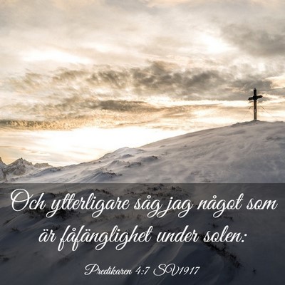 Picture 03 - Predikaren 4:7 SV1917 - Och ytterligare såg jag något som är - Bible Verse Picture