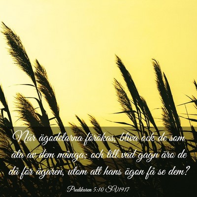 Picture 03 - Predikaren 5:10 SV1917 - När ägodelarna förökas, bliva ock de som äta - Bible Verse Picture