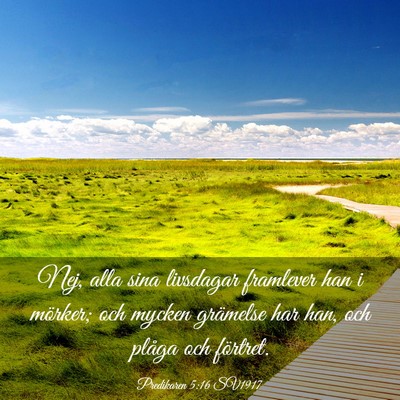 Picture 03 - Predikaren 5:16 SV1917 - Nej, alla sina livsdagar framlever han i mörker; - Bible Verse Picture