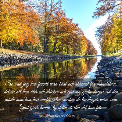 Picture 03 - Predikaren 5:17 SV1917 - Se, vad jag har funnit vara bäst och skönast - Bible Verse Picture