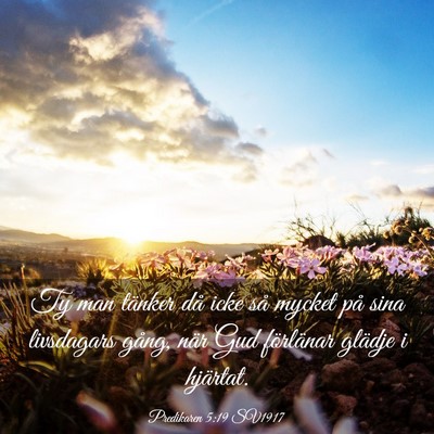 Picture 03 - Predikaren 5:19 SV1917 - Ty man tänker då icke så mycket på sina - Bible Verse Picture
