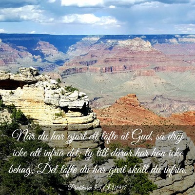 Picture 03 - Predikaren 5:3 SV1917 - När du har gjort ett löfte åt Gud, så dröj - Bible Verse Picture