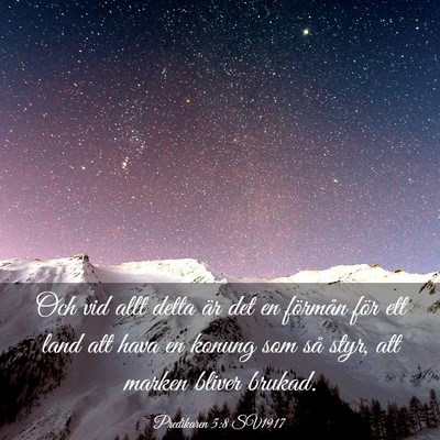 Picture 03 - Predikaren 5:8 SV1917 - Och vid allt detta är det en förmån för ett - Bible Verse Picture