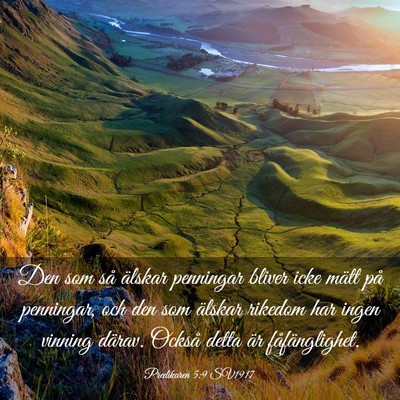 Picture 03 - Predikaren 5:9 SV1917 - Den som så älskar penningar bliver icke mätt - Bible Verse Picture