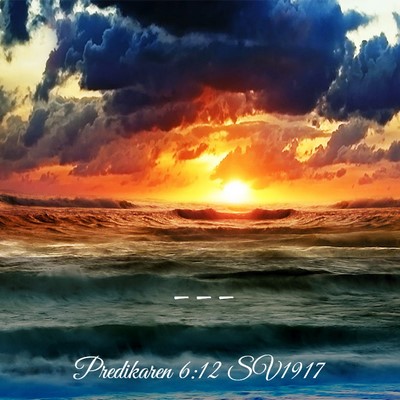 Picture 03 - Predikaren 6:12 SV1917 -  - Bible Verse Picture
