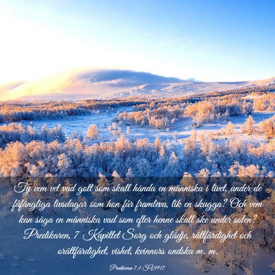 Picture 03 - Predikaren 7:1 SV1917 - Ty vem vet vad gott som skall hända en människa - Bible Verse Picture