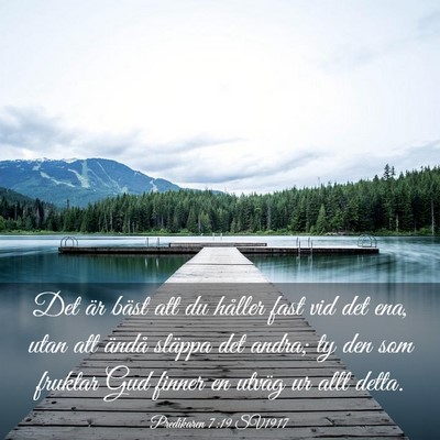 Picture 03 - Predikaren 7:19 SV1917 - Det är bäst att du håller fast vid det ena, - Bible Verse Picture